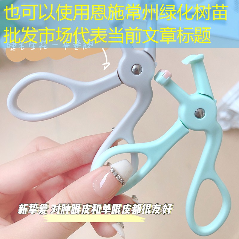 恩施常州绿化树苗批发市场 恩施常州绿化树苗批发市场