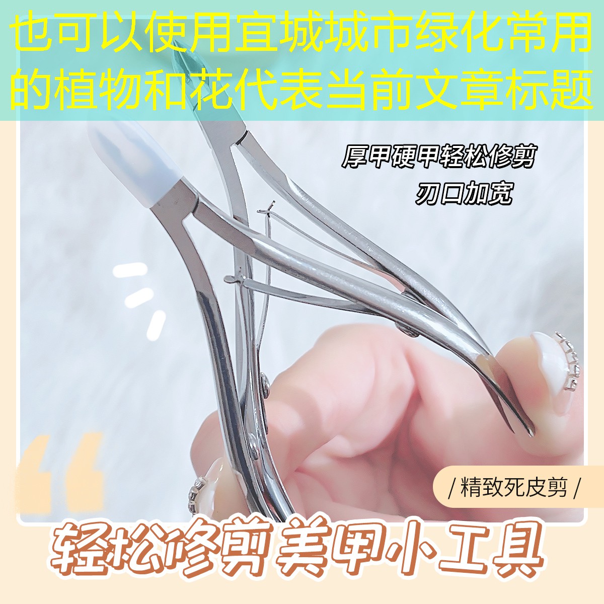 宜城城市绿化常用的植物和花 宜城城市绿化常用的植物和花