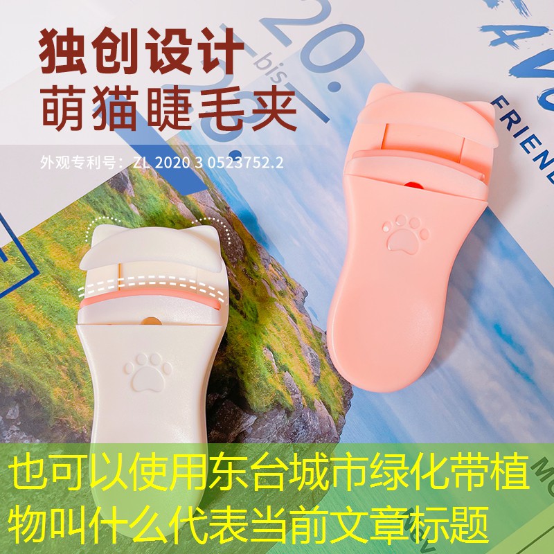 东台城市绿化带植物叫什么 东台城市绿化带植物叫什么