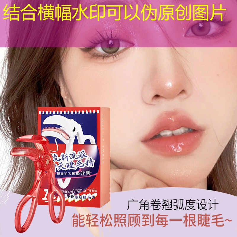 内江绿化苗木市场行情 内江绿化苗木市场行情