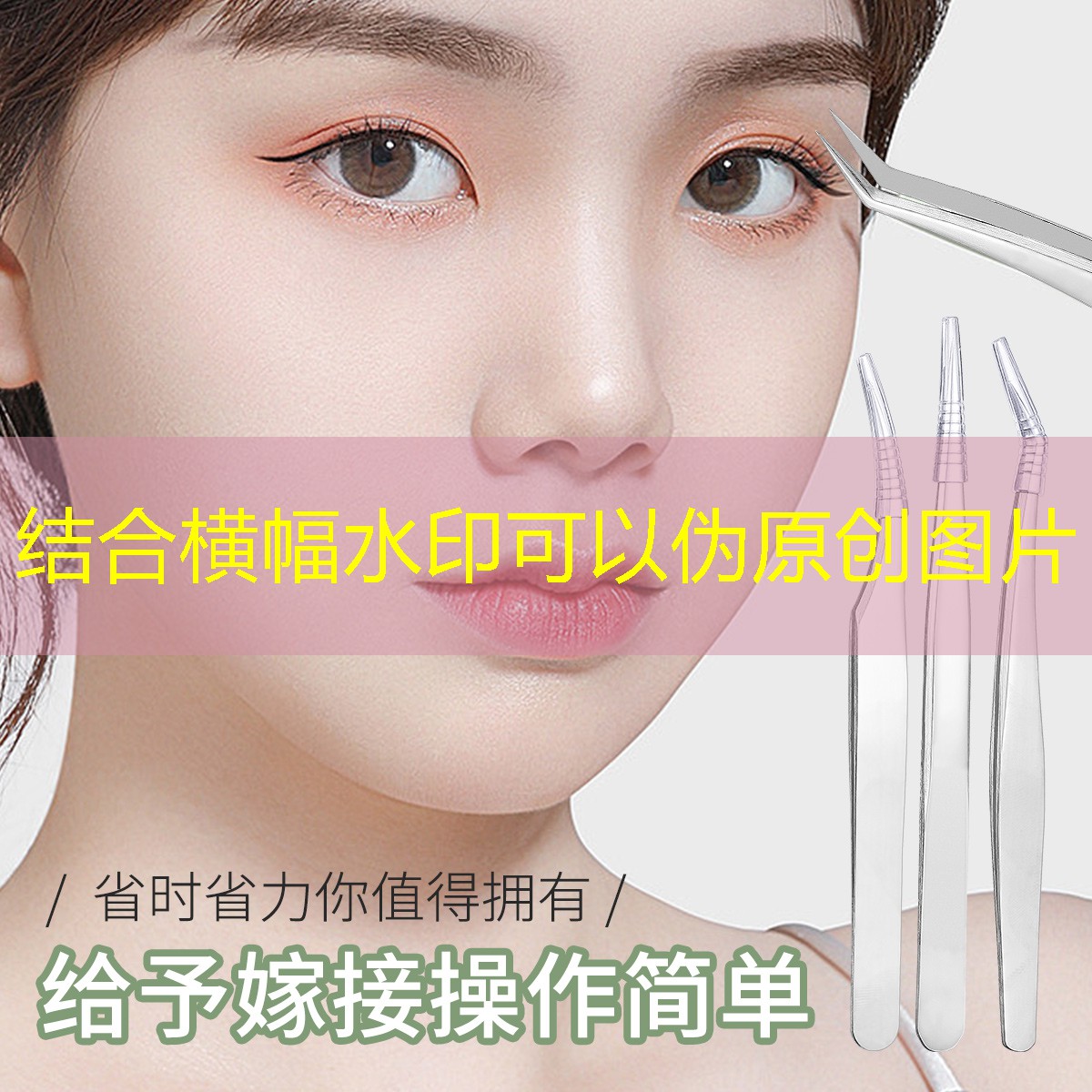 厦门城市绿化带一般用什么树 厦门城市绿化带一般用什么树